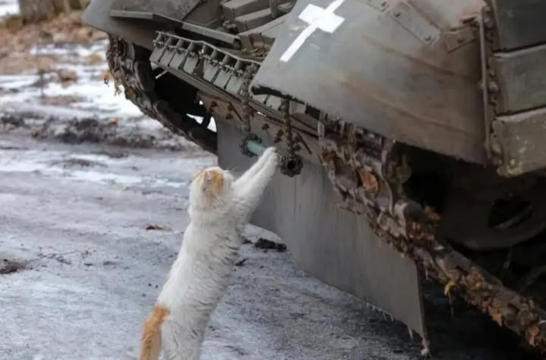 wfyokyga - Ukrainian T-72AV crewman inspecting his MBT, January 2025 period, Donetsk ...
