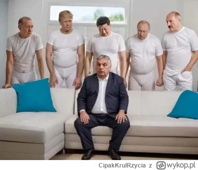 CipakKrulRzycia - #wegry #polityka #humorobrazkowy