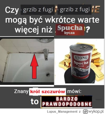 Lupus_Management - #konkursnanajbardziejgownianymemznosaczem

to nie jest porada inwe...