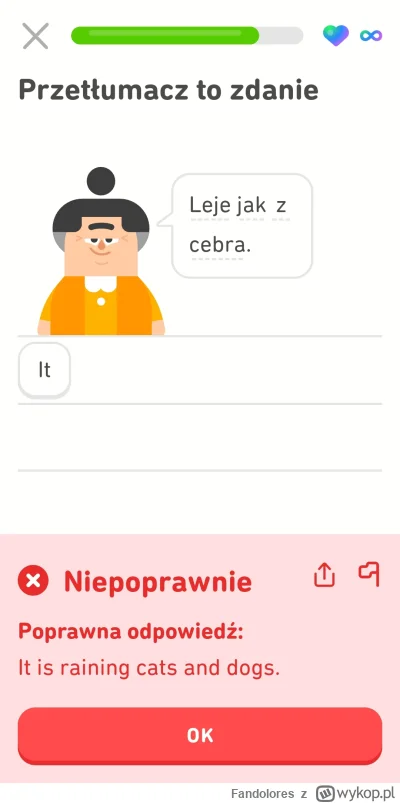Fandolores - O kurde xD #duolingo