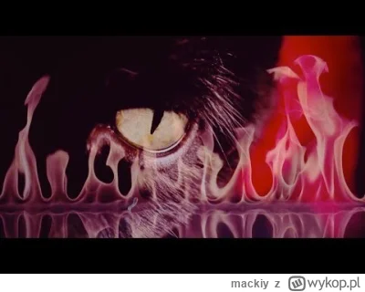 mackiy - #twinpeaks #davidlynch
Żegnaj Mistrzu