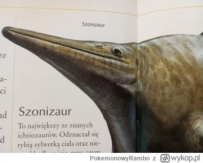 PokemonowyRambo - @Buzdygan666