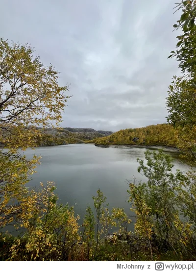 MrJohnny - @MrJohnny