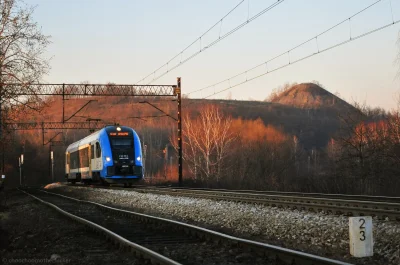 choochoomotherfucker - Pesa Elf 2 jako pociąg osobowy Kolei Śląskich relacji Rybnik –...