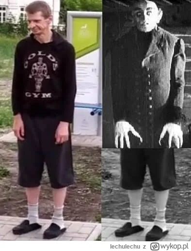 lechulechu - @diwanin100: @pingwinek_pikpoket