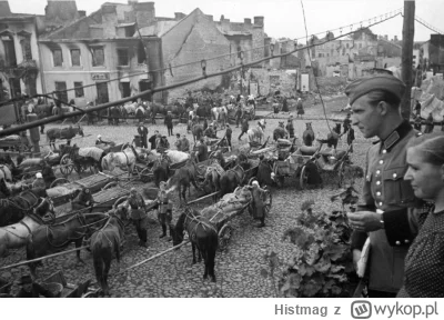 Histmag - Znalezisko - Ile jeszcze tajemnic skrywają niemieckie strychy? Te filmy to ...