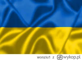 wonziu1 - SLAVA UKRAINIE, POKAZMY ILU NAS JEST!

#ukraina