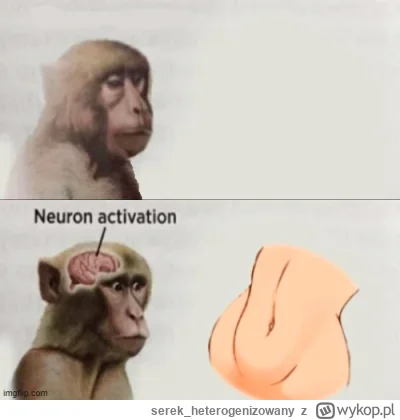 serek_heterogenizowany