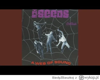 BiedyZBaszkoj - 390 - The Seeds - The Wind Blows Your Hair (1969)

#muzyka #baszka
