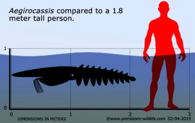 Loskamilos1 - @Loskamilos1: porównanie z homo sapiens