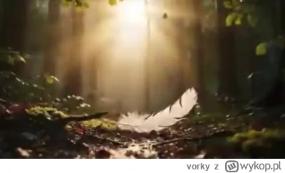 vorky - Maja rozmach ( ͡º ͜ʖ͡º)
#mecz #wislakrakow