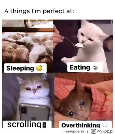 Freeburger97 - #przegryw