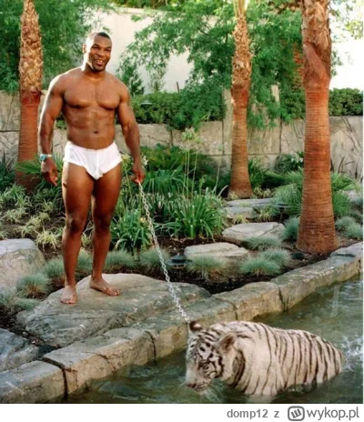 domp12 - @Apu-Apustaja: