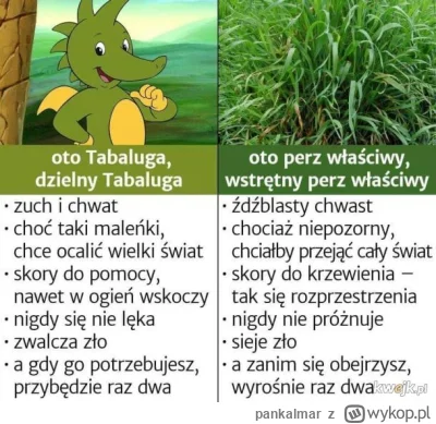 pankalmar - @Kotouak: nienawidzilem Tabalugi