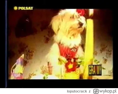 loputocrack - @mienskoduszone: