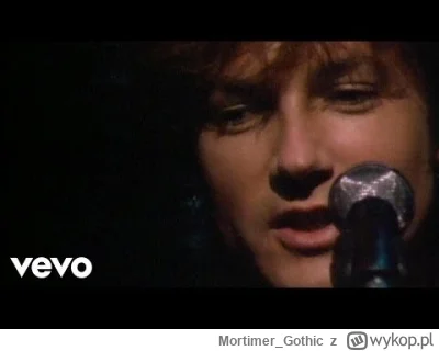 M.....c - @Niedobry: no to masz gothu jeden