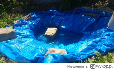 Niewiemja - Oczko wodne prawie naprawion #ogrodnictwo #domowasuszarnia Troche #owady ...
