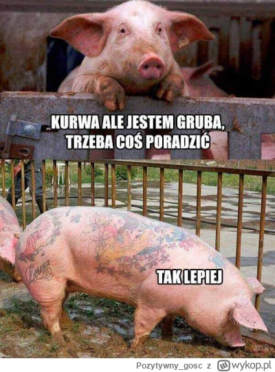 P.....c - Czas przywrócić modę na najlepszy trend p0lko-memowy! #swinkapolka ( ͡°( ͡°...