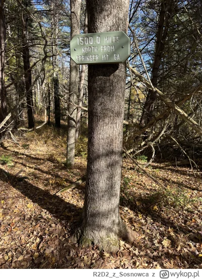 R2D2zSosnowca - @R2D2zSosnowca Appalachian Trail to liczący 2160 mil długości szlak g...