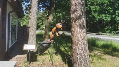 Jerzu - 320 654 + 47 = 320 701

Czerwona mrówka naprawdę nazywa się mrówka rudnica, p...