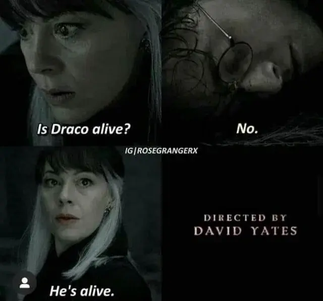 Tetrachloroizoftalonitryl - #harrypotter