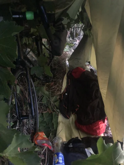 ChlopoRobotnik2137 - Chłopska forteca tuż przy drodze gminnej
Dobrze się spało 
#zlom...