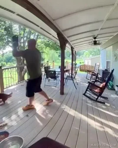 Twoja_tata - #trzecieoko #zwierzaczki