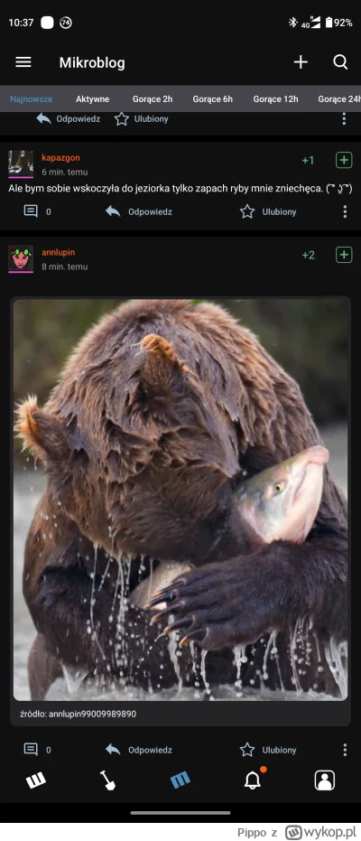 Pippo - @kapazgon czymaj