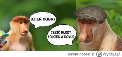 dawid-hopek - Kradzione 


#polska #takaprawda #satyra #heheszki 


#humorobrazkowy #...