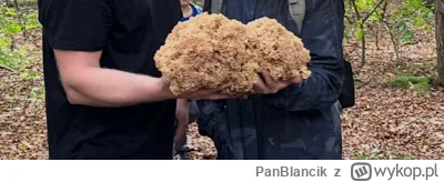 PanBlancik - @KataklizmModeOn: a ja takiego