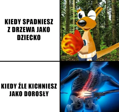 Kotouak - @Plotkova99