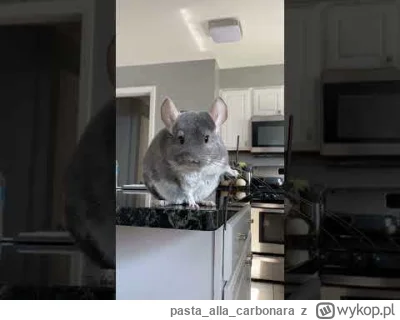 pastaallacarbonara - @schnippen_schnappen: