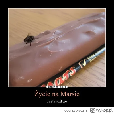 odgrzybiacz - #heheszki #mars #zycie