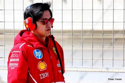 johnkashtan - W pewnych regionach świata, starego psa po prostu bierze się na pniaka ...