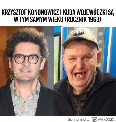 Springfield - #ciekawostki #polskiyoutube #kononowicz #patostreamy