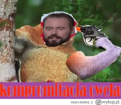 marcinekq - @miloszy: XDDDDD