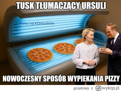 grajdowy - #kpo #heheszki #polityka