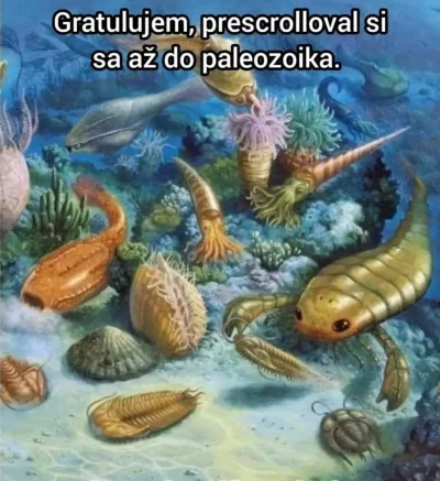 chciejstwo - #heheszki #czeskiememy