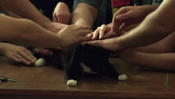 Twojatata - @piotrek18_89: