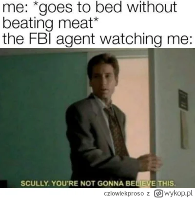 czlowiekproso - Dobranoc mordy