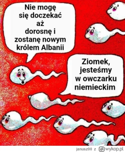 janusz00 - #popek