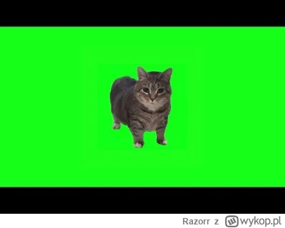 Razorr - #przegryw tego pan jezus słuchał kiedy leżał w grocie