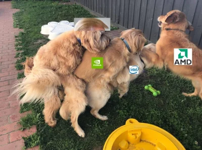 dariusz44 - #gielda #amd #nvidia #trump #intel

Aktualna sytuacja na rynku półprzewod...