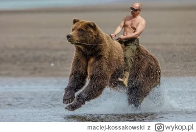 maciej-kossakowski - >Będziecie walczyć z Putinem

Strach się bać
