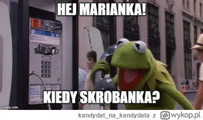 kandydatnakandydata - #famemma