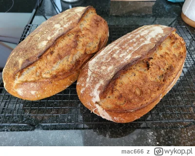 mac666 - Dokupiłem drugi koszyk do wyrastania chleba i oto efekty ( ͡° ͜ʖ ͡°)

#gotuj...