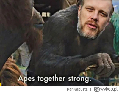 PanKapusta - @pogromca_kucy: