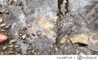 EarpMIToR - nie no czysta ta woda musi być bardzo bogata...
#usa #ufo