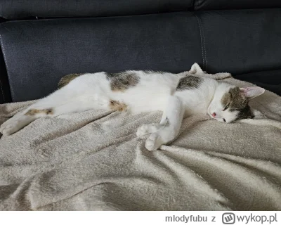 mlodyfubu - @Devillo777