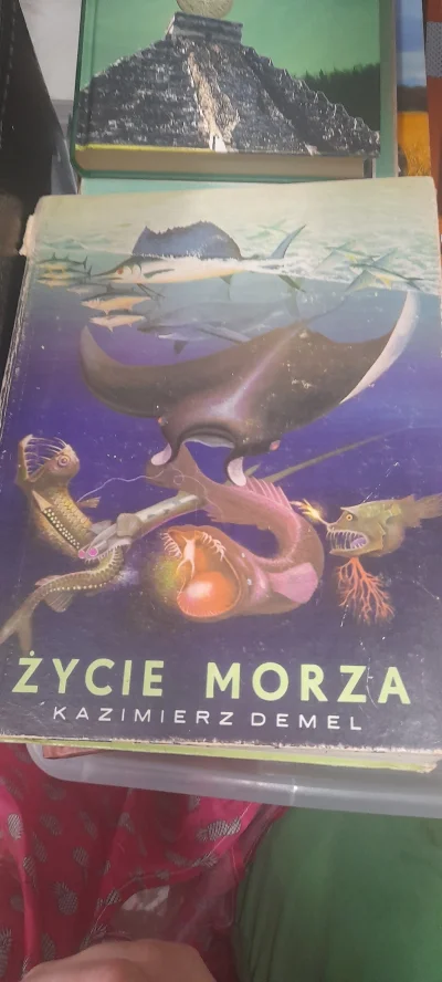 magdalena-gaska - Ładną okładkę wypatrzyłam
#ksiazki #ladnerzeczy